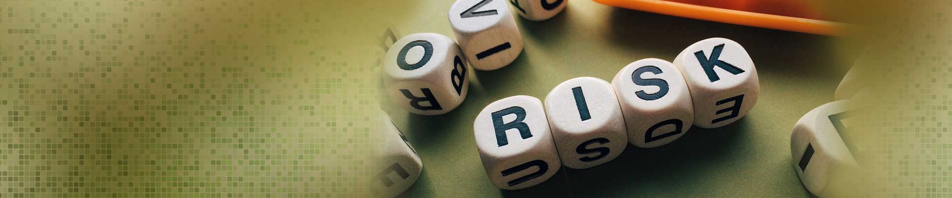 Enterprise Risk Management